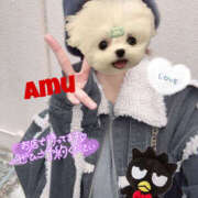 ヒメ日記 2025/04/07 11:59 投稿 あむ 神田ハンドメイド