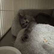 ヒメ日記 2025/04/08 00:51 投稿 あむ 神田ハンドメイド