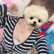 ヒメ日記 2025/04/09 15:06 投稿 あむ 神田ハンドメイド