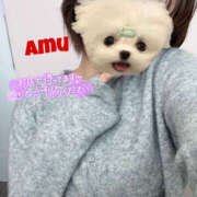 ヒメ日記 2025/04/10 13:46 投稿 あむ 神田ハンドメイド