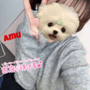 ヒメ日記 2025/04/10 16:44 投稿 あむ 神田ハンドメイド