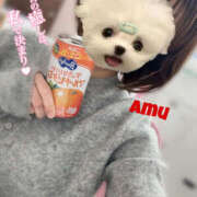 ヒメ日記 2025/04/10 16:49 投稿 あむ 神田ハンドメイド