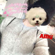 ヒメ日記 2025/04/13 12:33 投稿 あむ 神田ハンドメイド