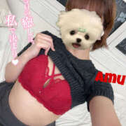 ヒメ日記 2025/04/13 17:33 投稿 あむ 神田ハンドメイド