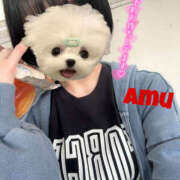 ヒメ日記 2025/04/20 10:52 投稿 あむ 神田ハンドメイド