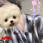 ヒメ日記 2025/04/21 12:56 投稿 あむ 神田ハンドメイド