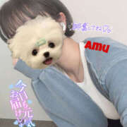 ヒメ日記 2025/04/23 12:02 投稿 あむ 神田ハンドメイド