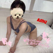 ヒメ日記 2025/04/23 13:27 投稿 あむ 神田ハンドメイド