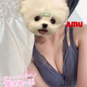 ヒメ日記 2025/04/23 17:05 投稿 あむ 神田ハンドメイド