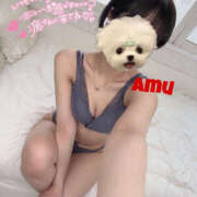 ヒメ日記 2025/04/23 18:52 投稿 あむ 神田ハンドメイド