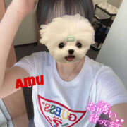 ヒメ日記 2025/04/25 10:43 投稿 あむ 神田ハンドメイド