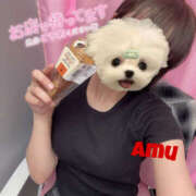 ヒメ日記 2025/04/27 12:36 投稿 あむ 神田ハンドメイド