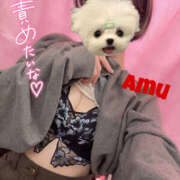 ヒメ日記 2025/04/28 16:06 投稿 あむ 神田ハンドメイド