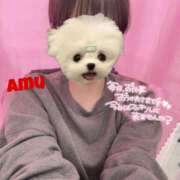 ヒメ日記 2025/04/28 16:59 投稿 あむ 神田ハンドメイド