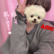 ヒメ日記 2025/04/28 20:10 投稿 あむ 神田ハンドメイド