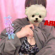 ヒメ日記 2025/05/02 09:46 投稿 あむ 神田ハンドメイド