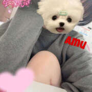 ヒメ日記 2025/05/02 14:38 投稿 あむ 神田ハンドメイド