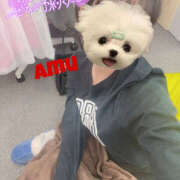 ヒメ日記 2025/05/03 14:53 投稿 あむ 神田ハンドメイド