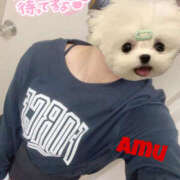 ヒメ日記 2025/05/03 17:55 投稿 あむ 神田ハンドメイド