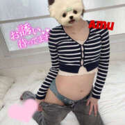 ヒメ日記 2025/05/04 08:45 投稿 あむ 神田ハンドメイド