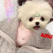 ヒメ日記 2025/05/04 12:09 投稿 あむ 神田ハンドメイド