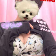 ヒメ日記 2025/05/04 16:17 投稿 あむ 神田ハンドメイド