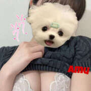 ヒメ日記 2025/05/07 17:33 投稿 あむ 神田ハンドメイド