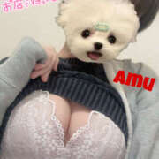 ヒメ日記 2025/05/08 10:58 投稿 あむ 神田ハンドメイド