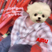 ヒメ日記 2025/05/08 12:18 投稿 あむ 神田ハンドメイド