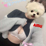 ヒメ日記 2025/05/08 14:47 投稿 あむ 神田ハンドメイド