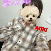 ヒメ日記 2025/05/08 18:50 投稿 あむ 神田ハンドメイド