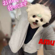 ヒメ日記 2025/05/10 13:19 投稿 あむ 神田ハンドメイド