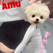 ヒメ日記 2025/05/10 15:54 投稿 あむ 神田ハンドメイド