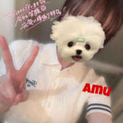 ヒメ日記 2025/05/12 10:29 投稿 あむ 神田ハンドメイド