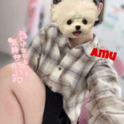 ヒメ日記 2025/05/26 15:39 投稿 あむ 神田ハンドメイド