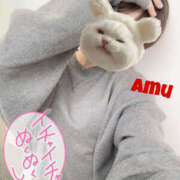 ヒメ日記 2025/06/03 12:22 投稿 あむ 神田ハンドメイド