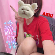 ヒメ日記 2025/06/07 18:08 投稿 あむ 神田ハンドメイド