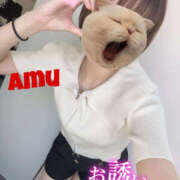 ヒメ日記 2025/06/22 12:55 投稿 あむ 神田ハンドメイド