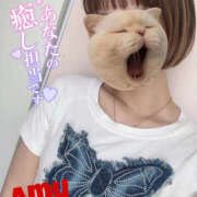 ヒメ日記 2025/06/23 16:24 投稿 あむ 神田ハンドメイド