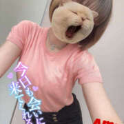 ヒメ日記 2025/07/09 15:10 投稿 あむ 神田ハンドメイド