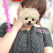 ヒメ日記 2025/07/20 17:51 投稿 あむ 神田ハンドメイド