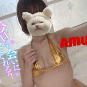 ヒメ日記 2025/09/06 12:59 投稿 あむ 神田ハンドメイド