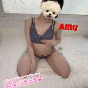 ヒメ日記 2025/11/04 14:03 投稿 あむ 神田ハンドメイド