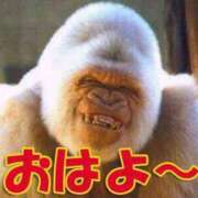 ヒメ日記 2024/12/12 09:31 投稿 大山 熟女の風俗最終章 新横浜店