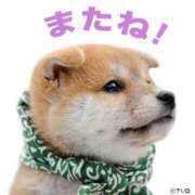 ヒメ日記 2024/12/12 22:56 投稿 大山 熟女の風俗最終章 新横浜店