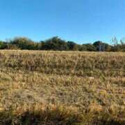 ヒメ日記 2024/12/17 12:26 投稿 大山 熟女の風俗最終章 新横浜店