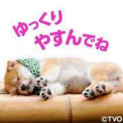 ヒメ日記 2024/12/24 14:46 投稿 大山 熟女の風俗最終章 新横浜店