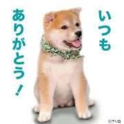 ヒメ日記 2024/12/31 09:26 投稿 大山 熟女の風俗最終章 新横浜店