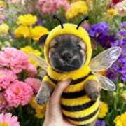 ヒメ日記 2025/12/18 15:29 投稿 大山 熟女の風俗最終章 新横浜店