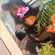 ヒメ日記 2026/03/15 02:04 投稿 高倉さき 池袋3P複数プレイ専門店 ハーレム